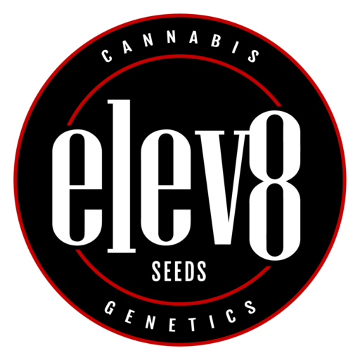 Elev8 Seeds Europe