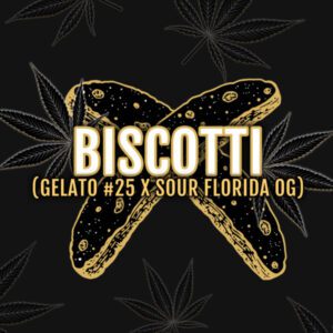 Biscotti S1